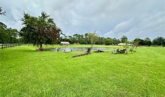 1350 RED COLT Ct, Astor, FL 32102