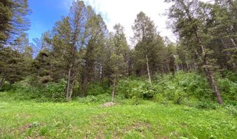 400 GROVER DRY FARM Rd, Afton, WY 83110