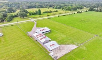 8642 S Fm 779, Alba, TX 75410