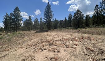 Bufflehead Drive, Bonanza, OR 97623