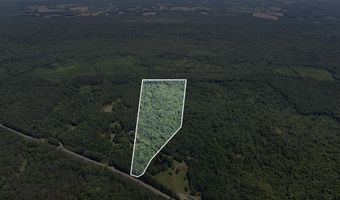 Cr 244, Abbeville, MS 38601