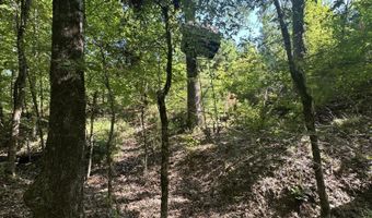 Lot 3a Elberton Highway, Lincolnton, GA 30817