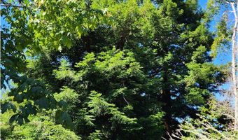 96422 ALDER RIDGE Rd, Brookings, OR 97415