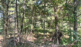2672 Big Fork Rd, Barnwell, SC 29812