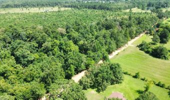 160 LR 717, Ashdown, AR 71822