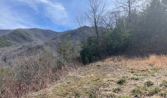 Lot 7 Serenity Ridge Trail, Andrews, NC 28901
