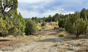 816 Hamilton Stage Rd, Elko, NV 89801