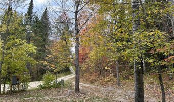 13102 Seaberg Ln, Bagley, MN 56621
