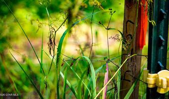 Cypress Pointe Drive lot 4, Brooksville, MS 39739