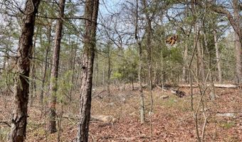 Lot 31-33 Whispering Pines Way, Antlers, OK 74523