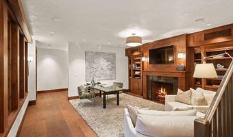 719 E Hopkins Ave 202, Aspen, CO 81611