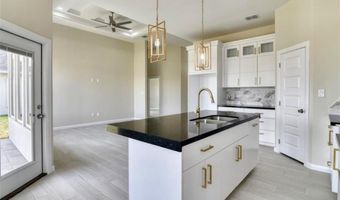 3100 E Zinnia Ave, Alton, TX 78573
