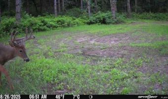 8752 HWY A, Almond, WI 54909