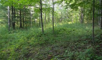 1454 Crane Ln, Woodhull, NY 14801