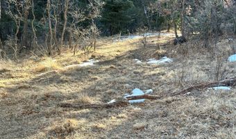 705 NM-120, Angel Fire, NM 87710