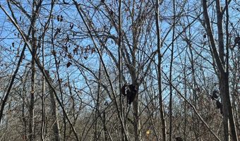 781 William Ave Lot 24, Appling, GA 30802