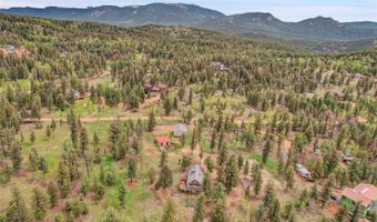 64 Elk Horn Ct, Bailey, CO 80421