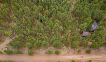 19 Hillcrest Dr, Alpine, AZ 85920