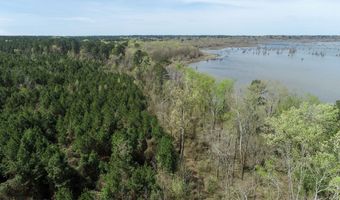 Tbd Pump Station Rd, Ashdown, AR 71822