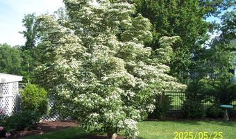 106 CREEKSIDE Dr, Dagsboro, DE 19939