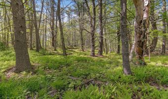 17-1 Bald Head Rd, Arrowsic, ME 04548