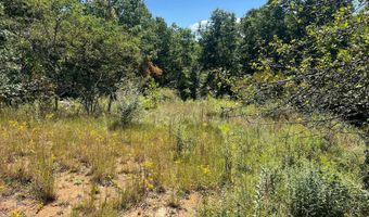 Hamilton Ridge Road, Alderson, WV 24910