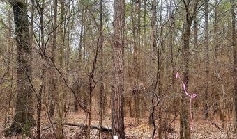 Lot 2 Great Falls Highway, Chester, SC 29706