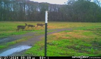 1226 Joe Kidder Rd, Arnaudville, LA 70512