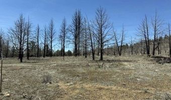 31763 Godowa Springs Rd, Beatty, OR 97621