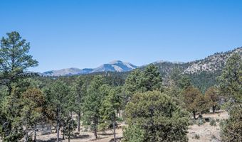 1097 State Hwy 48, Alto, NM 88312