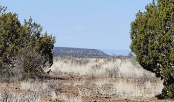 644 Cortez Ranch Rd, Ash Fork, AZ 86320