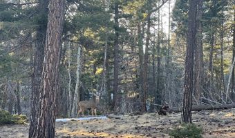 Lot 352 Vail Loop, Angel Fire, NM 87710