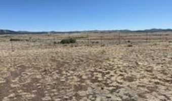 345 CR N3540, Concho, AZ 85924