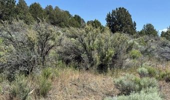 Medicine Mountain Drive, Beatty, OR 97621