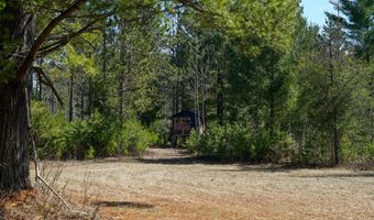 5840 Wildwood Rd, Alger, MI 48610