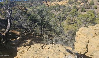 4 County Rd, Concho, AZ 85924