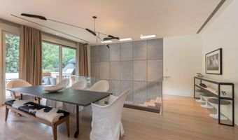100 E Cooper Ave 11, Aspen, CO 81611