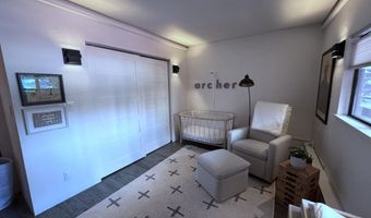 927 VINE St, Aspen, CO 81611