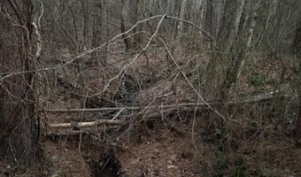 0- Lot 7 Piney Mountain Rd, Appomattox, VA 24522