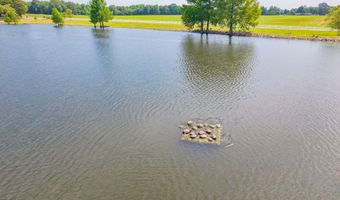 21 Sherman Blankenship Rd, Beech Bluff, TN 38313