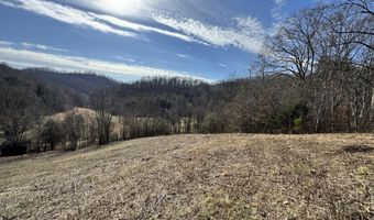 1135 Ned Clark Rd, Bean Station, TN 37708