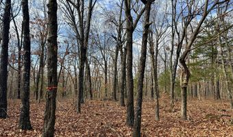 Farm Rd 1187 Lc, Ash Grove, MO 65604