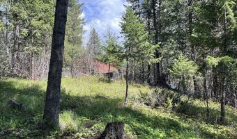 716 Echo Lake Rd, Bigfork, MT 59911