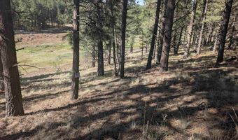 Valle Grande Trail, Angel Fire, NM 87710
