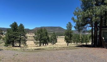 450 County Road 2104, Alpine, AZ 85920