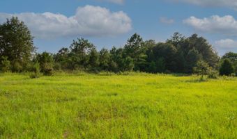 0 US Hwy 84 E, Andalusia, AL 36420