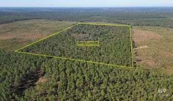 25001 Highway 112, Bay Minette, AL 36507