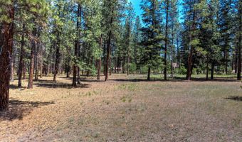 1120 Hole In The Wall Rd, Bonner, MT 59823