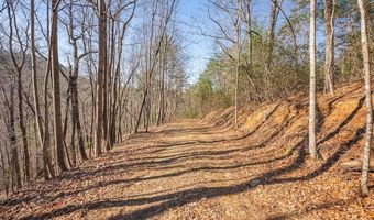 Ararat Highway, Ararat, VA 24053