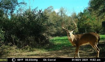 000 Hwy 105, Atkins, AR 72823